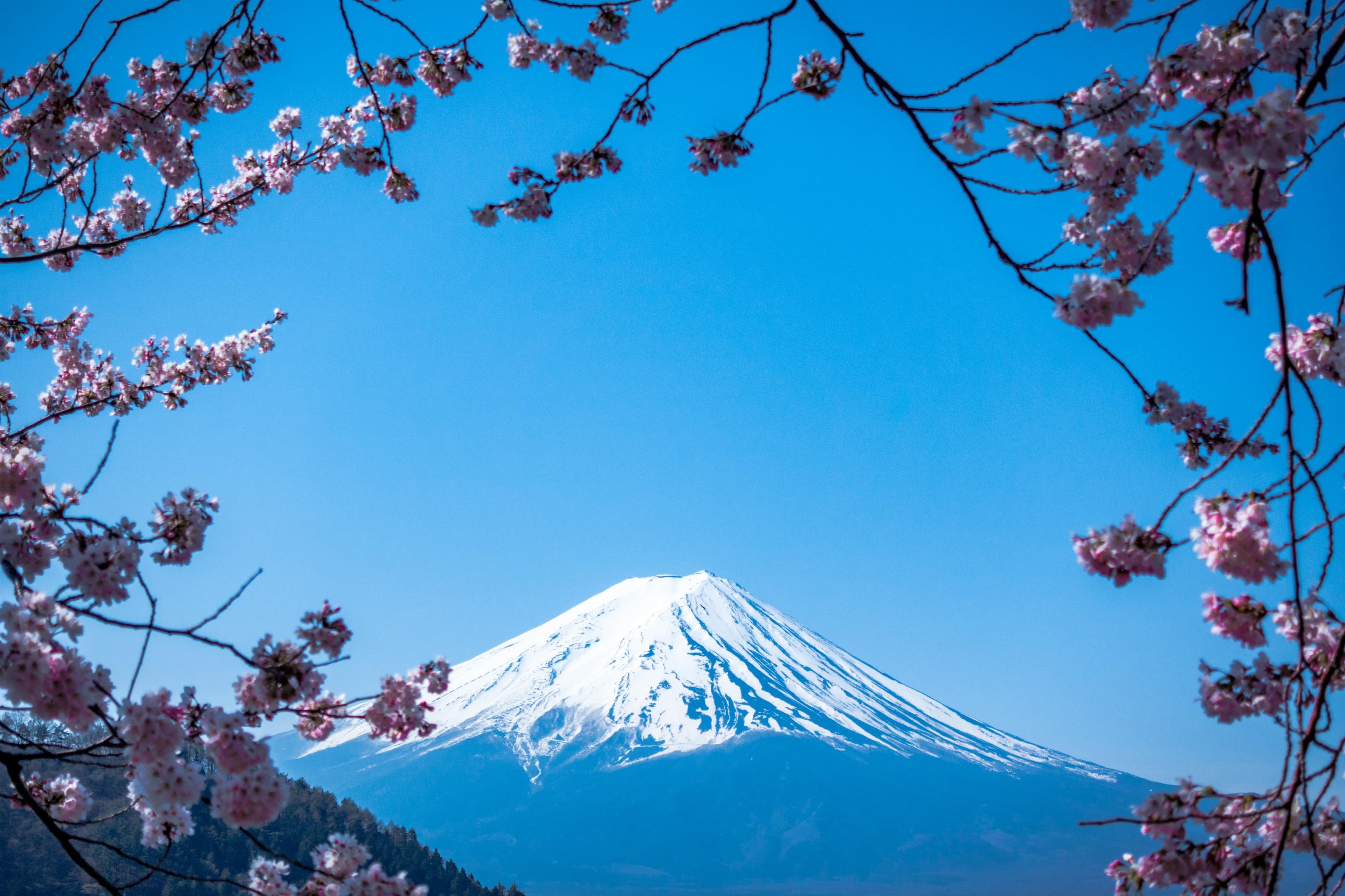 Lingkungan kerja di Jepang